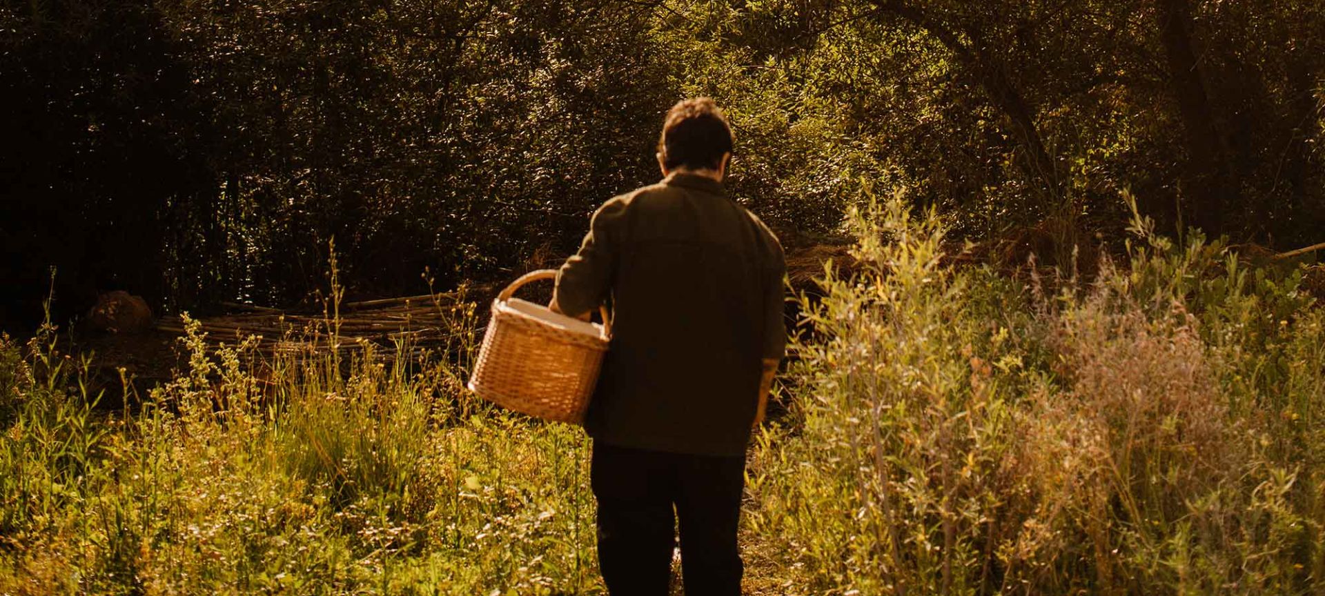 A Person Walking In A Field