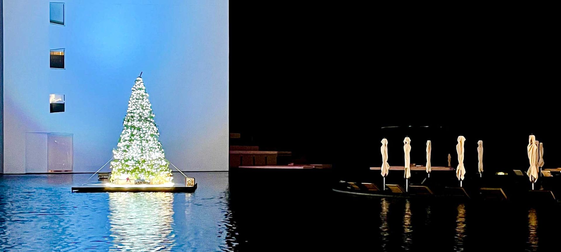 Christmas Tree in the Water