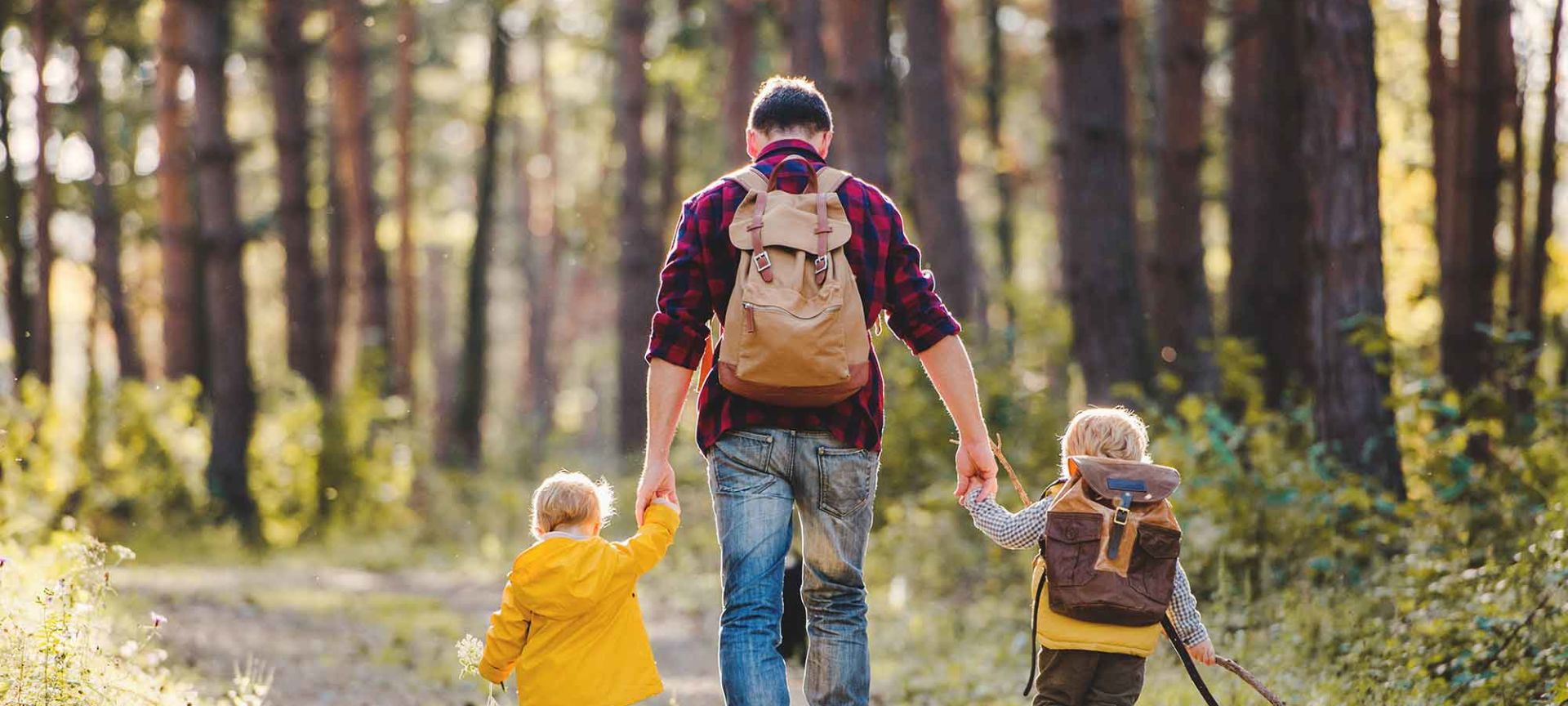 Odrasla osoba i dva deteta šetaju šumom
